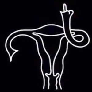 Meet your Posher, Laurie zettler